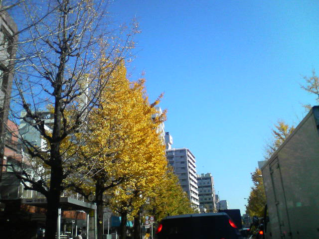 f0108399_2241472.jpg
