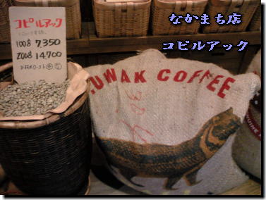 a0075802_16502.jpg