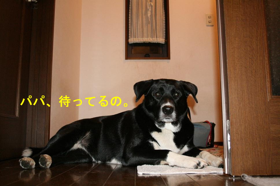 d0070702_14221920.jpg