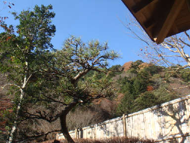 f0138304_7441679.jpg