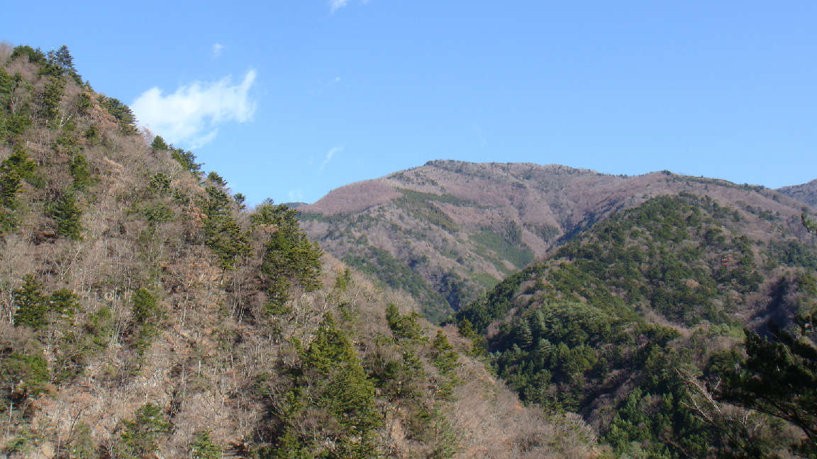 f0138304_754498.jpg