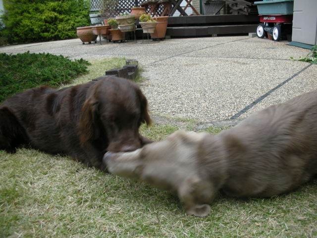 c0017311_1031593.jpg