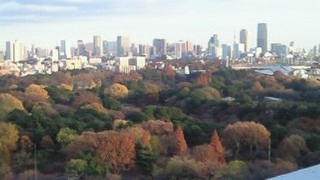 f0105913_21251518.jpg