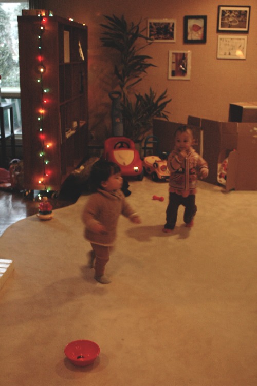 c0106317_427433.jpg