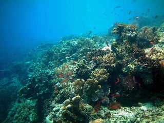 f0142717_063091.jpg