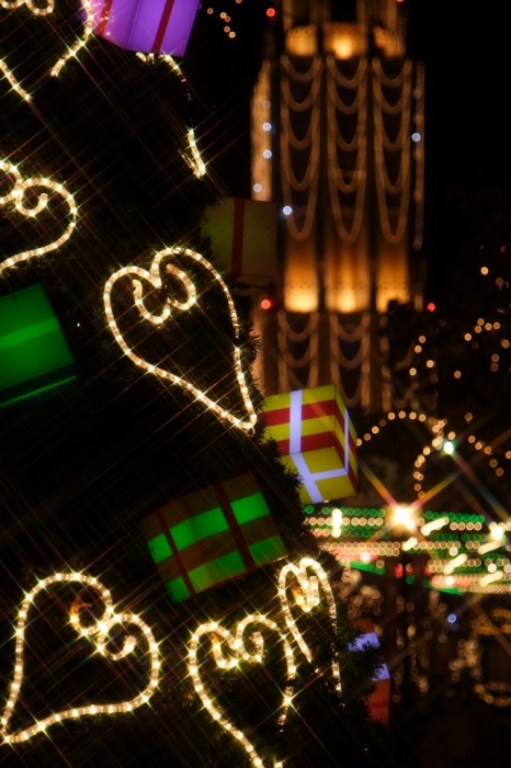 c0089419_22494639.jpg