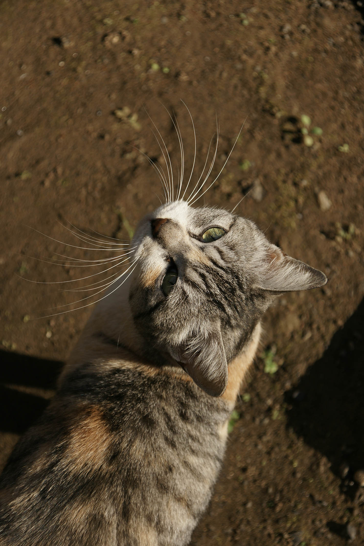 d0089024_138848.jpg
