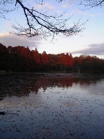 f0022024_2318249.jpg