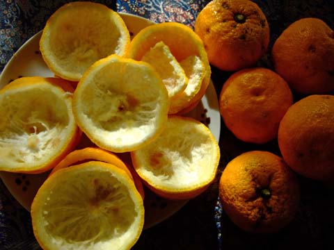 f0147025_16222825.jpg