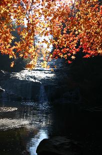 c0157226_20173319.jpg