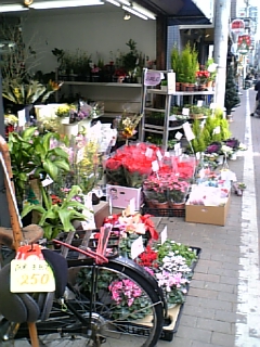 e0016828_201433100.jpg