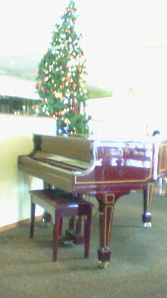c0133533_11544617.jpg