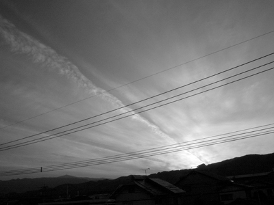 a0097735_44533.jpg