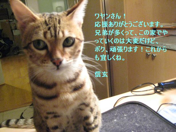 c0132537_10215258.jpg