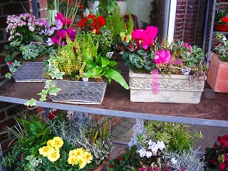 c0153740_225169.jpg