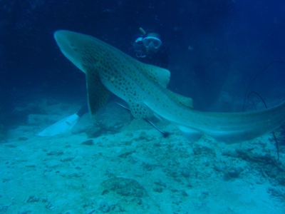 e0027447_2155775.jpg