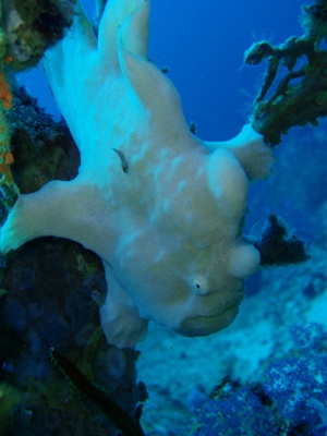 e0027447_2161855.jpg