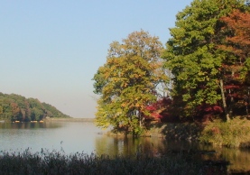 c0116848_12212010.jpg