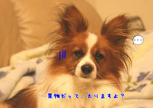 d0013149_030484.jpg