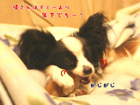 d0013149_0521529.jpg