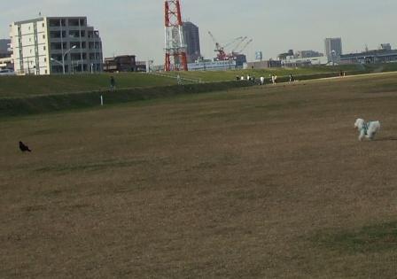d0118050_15481996.jpg
