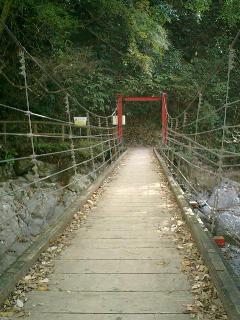 f0045956_2017242.jpg
