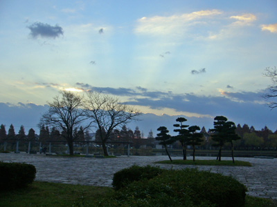 b0045357_949767.jpg