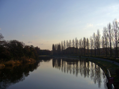 b0045357_9501230.jpg