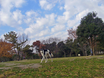 b0045357_9594593.jpg