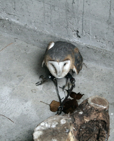 f0077159_303684.jpg