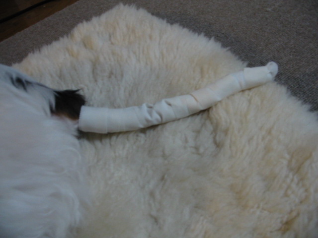 f0122259_22152178.jpg