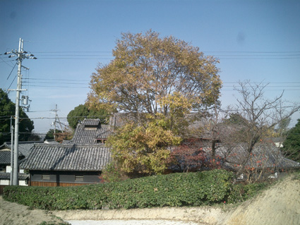 e0068460_17314972.jpg