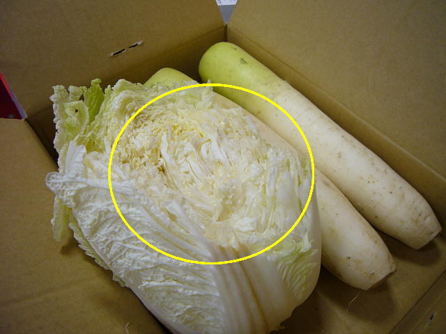 f0057565_2303543.jpg