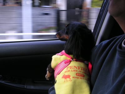 c0151866_8583080.jpg