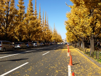 c0102268_123206.jpg