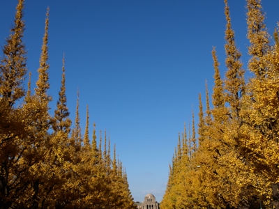 c0102268_12332472.jpg