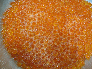 d0050871_17575192.gif