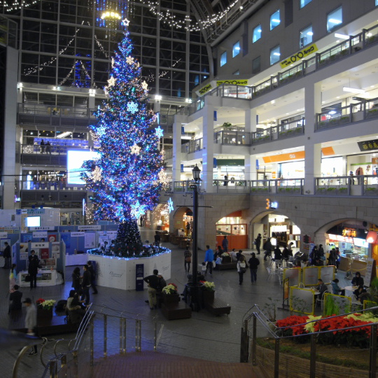 e0100772_21312558.jpg