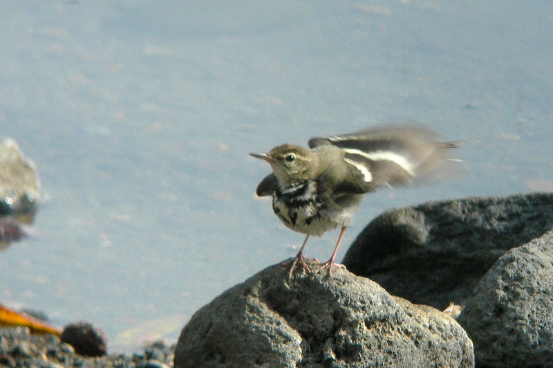 f0137673_21534075.jpg