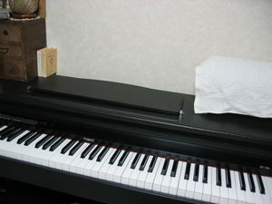 e0070074_1655195.jpg