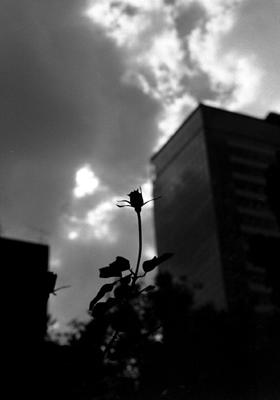 d0051178_23355079.jpg
