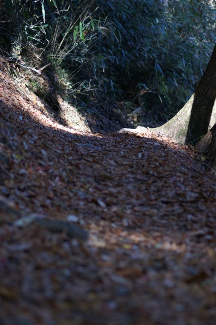 d0079278_2031138.jpg