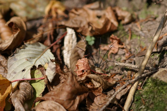 d0079278_2040617.jpg