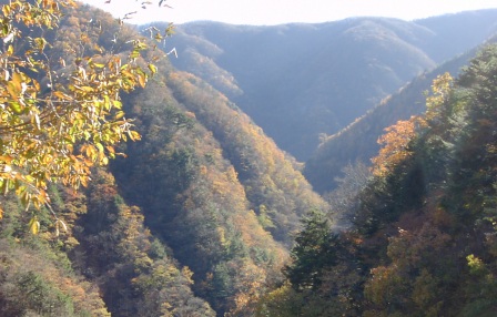 a0091680_1212147.jpg