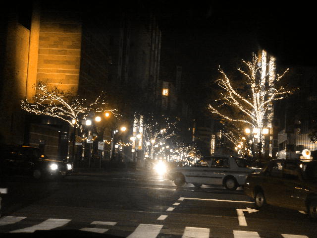 a0028482_20374839.jpg