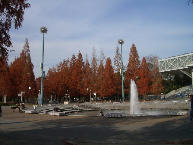 c0117383_18202862.jpg