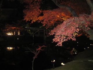 f0014183_2055057.jpg