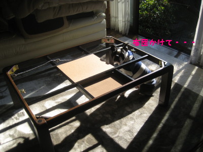 c0092787_12553584.jpg