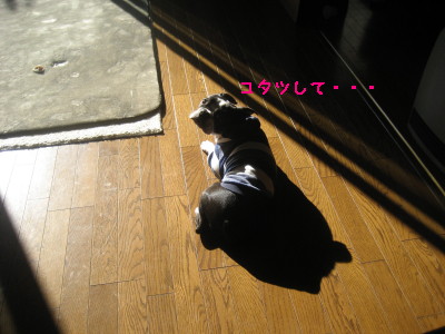 c0092787_1255518.jpg