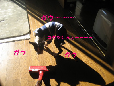 c0092787_12564725.jpg